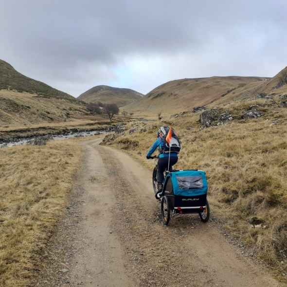 Cat cycling with a baby trailer on the back along a track with a pleasant mountain view